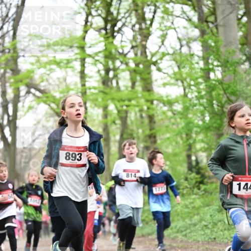 13.04.2025 - Hammer Lauf Dr. Thomas Lammeyer http://msf.ph/oto/7630691 13.04.2025 09:24:19 Laufen 1053, 15, 893, 814, 15, 144 meine-sportfotos.de