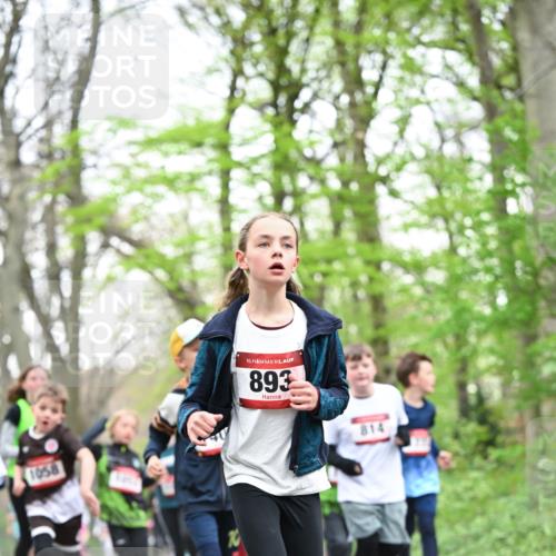 13.04.2025 - Hammer Lauf Dr. Thomas Lammeyer http://msf.ph/oto/7630702 13.04.2025 09:24:19 Laufen 1058, 15, 893, 814 meine-sportfotos.de