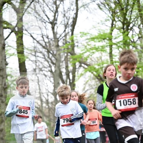 13.04.2025 - Hammer Lauf Dr. Thomas Lammeyer http://msf.ph/oto/7630743 13.04.2025 09:24:21 Laufen 845, 7124, 9, 15, 790, 88, 1058 meine-sportfotos.de