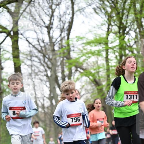 13.04.2025 - Hammer Lauf Dr. Thomas Lammeyer http://msf.ph/oto/7630755 13.04.2025 09:24:22 Laufen 15, 8, 15, 796, 78, 9, 15, 1311 meine-sportfotos.de