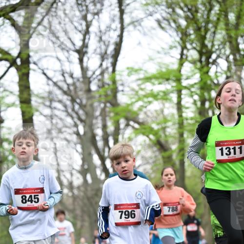 13.04.2025 - Hammer Lauf Dr. Thomas Lammeyer http://msf.ph/oto/7630758 13.04.2025 09:24:22 Laufen 15, 845, 15, 796, 788, 9, 15, 1311 meine-sportfotos.de