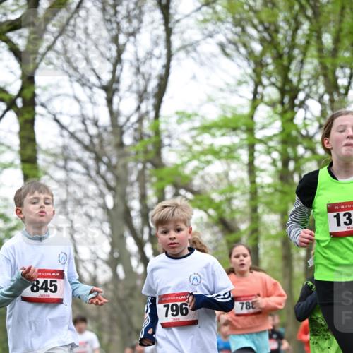 13.04.2025 - Hammer Lauf Dr. Thomas Lammeyer http://msf.ph/oto/7630763 13.04.2025 09:24:22 Laufen 845, 15, 796, 9, 788, 15, 13 meine-sportfotos.de