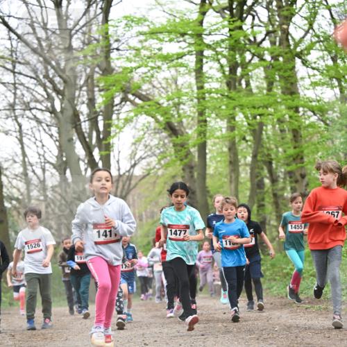 13.04.2025 - Hammer Lauf Dr. Thomas Lammeyer http://msf.ph/oto/7630810 13.04.2025 09:24:24 Laufen 1526, 191, 141, 1477, 1455, 7 meine-sportfotos.de