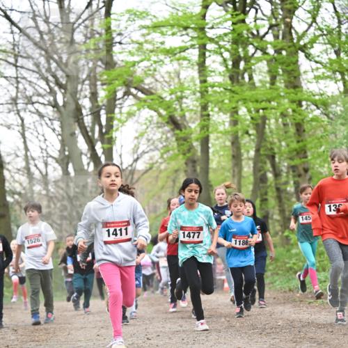13.04.2025 - Hammer Lauf Dr. Thomas Lammeyer http://msf.ph/oto/7630816 13.04.2025 09:24:24 Laufen 1526, 15, 1411, 1477, 1186, 145, 13 meine-sportfotos.de