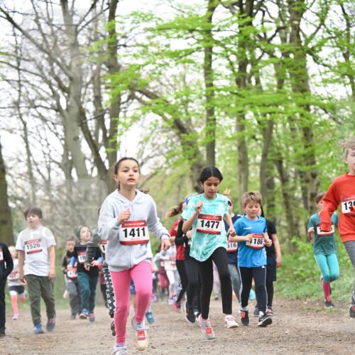 13.04.2025 - Hammer Lauf Dr. Thomas Lammeyer http://msf.ph/oto/7630821 13.04.2025 09:24:24 Laufen 1526, 47, 19, 15, 1411, 1477, 186, 516, 136 meine-sportfotos.de