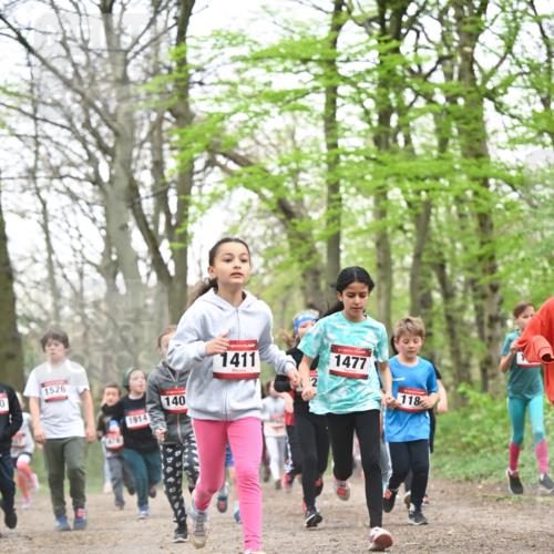 13.04.2025 - Hammer Lauf Dr. Thomas Lammeyer http://msf.ph/oto/7630825 13.04.2025 09:24:24 Laufen 1526, 0, 1476, 1914, 140, 1411, 2, 1477, 118 meine-sportfotos.de