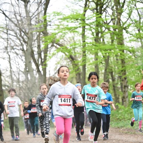 13.04.2025 - Hammer Lauf Dr. Thomas Lammeyer http://msf.ph/oto/7630830 13.04.2025 09:24:24 Laufen 1526, 477, 1913, 15, 1411, 1477, 80, 1455 meine-sportfotos.de