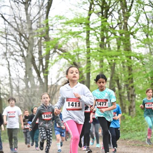 13.04.2025 - Hammer Lauf Dr. Thomas Lammeyer http://msf.ph/oto/7630836 13.04.2025 09:24:25 Laufen 1526, 1406, 15, 1411, 1477, 1455 meine-sportfotos.de