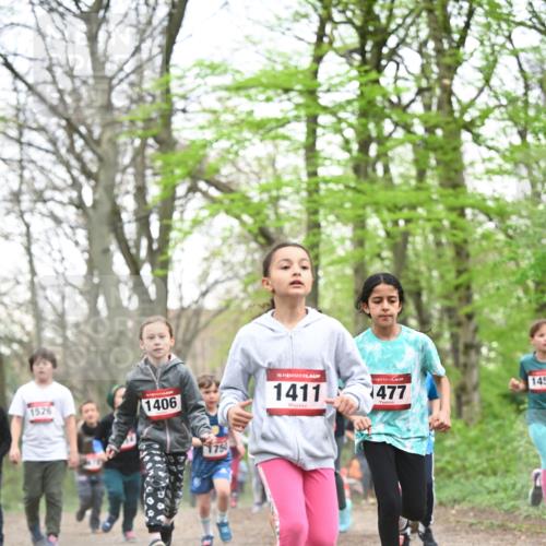 13.04.2025 - Hammer Lauf Dr. Thomas Lammeyer http://msf.ph/oto/7630841 13.04.2025 09:24:25 Laufen 1526, 1406, 15, 1411, 1477, 145 meine-sportfotos.de