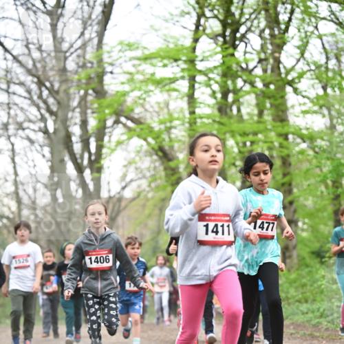 13.04.2025 - Hammer Lauf Dr. Thomas Lammeyer http://msf.ph/oto/7630847 13.04.2025 09:24:25 Laufen 1526, 1406, 15, 1411, 1477 meine-sportfotos.de