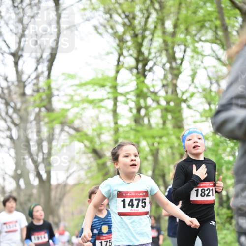 13.04.2025 - Hammer Lauf Dr. Thomas Lammeyer http://msf.ph/oto/7630896 13.04.2025 09:24:26 Laufen 175, 15, 1475, 1821 meine-sportfotos.de