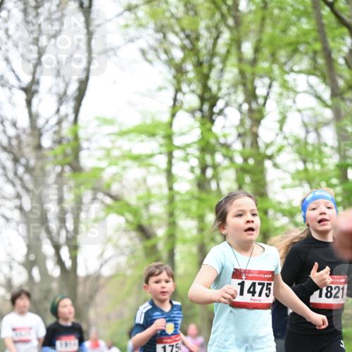 13.04.2025 - Hammer Lauf Dr. Thomas Lammeyer http://msf.ph/oto/7630901 13.04.2025 09:24:27 Laufen 175, 1475, 1821 meine-sportfotos.de