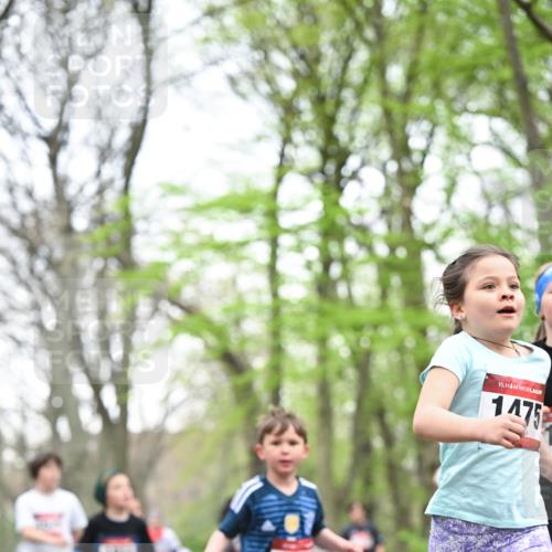 13.04.2025 - Hammer Lauf Dr. Thomas Lammeyer http://msf.ph/oto/7630907 13.04.2025 09:24:27 Laufen 175, 15, 1475 meine-sportfotos.de