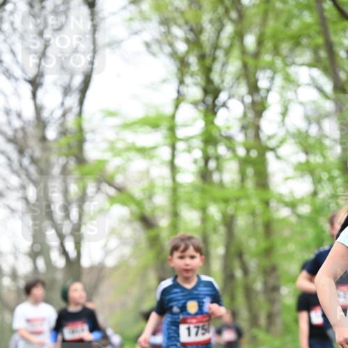 13.04.2025 - Hammer Lauf Dr. Thomas Lammeyer http://msf.ph/oto/7630912 13.04.2025 09:24:27 Laufen 175 meine-sportfotos.de