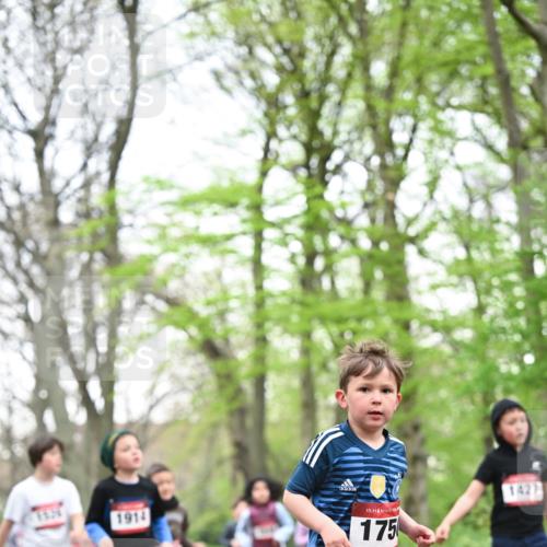 13.04.2025 - Hammer Lauf Dr. Thomas Lammeyer http://msf.ph/oto/7630916 13.04.2025 09:24:27 Laufen 1914, 2018, 15, 175, 1427 meine-sportfotos.de