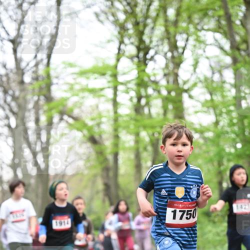 13.04.2025 - Hammer Lauf Dr. Thomas Lammeyer http://msf.ph/oto/7630921 13.04.2025 09:24:27 Laufen 1914, 15, 1750, 1427 meine-sportfotos.de
