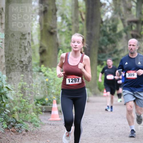 13.04.2025 - Hammer Lauf Jannik Wohlers http://msf.ph/oto/7630939 13.04.2025 12:39:07 Laufen 15, 1297, 309, 21 meine-sportfotos.de