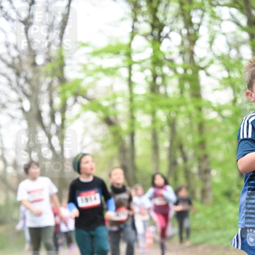 13.04.2025 - Hammer Lauf Dr. Thomas Lammeyer http://msf.ph/oto/7630940 13.04.2025 09:24:28 Laufen 1914 meine-sportfotos.de