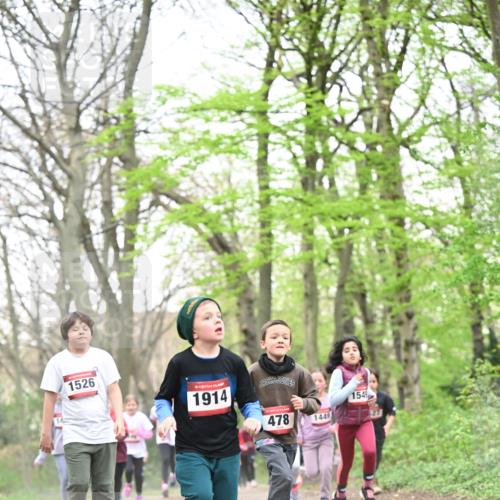 13.04.2025 - Hammer Lauf Dr. Thomas Lammeyer http://msf.ph/oto/7630947 13.04.2025 09:24:28 Laufen 1526, 15, 1914, 478, 154, 1449 meine-sportfotos.de