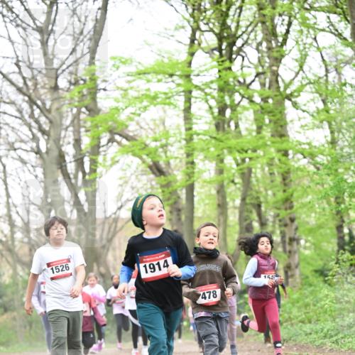 13.04.2025 - Hammer Lauf Dr. Thomas Lammeyer http://msf.ph/oto/7630953 13.04.2025 09:24:28 Laufen 1526, 1914, 478, 1549 meine-sportfotos.de