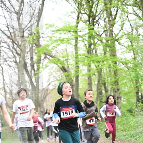 13.04.2025 - Hammer Lauf Dr. Thomas Lammeyer http://msf.ph/oto/7630960 13.04.2025 09:24:28 Laufen 1526, 1549, 1914, 478 meine-sportfotos.de