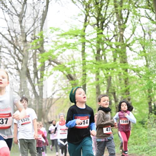 13.04.2025 - Hammer Lauf Dr. Thomas Lammeyer http://msf.ph/oto/7630966 13.04.2025 09:24:28 Laufen 37, 1526, 715, 15, 14, 478, 1549 meine-sportfotos.de