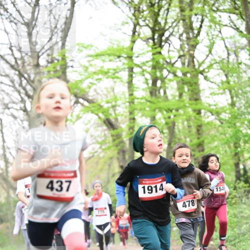 13.04.2025 - Hammer Lauf Dr. Thomas Lammeyer http://msf.ph/oto/7630972 13.04.2025 09:24:29 Laufen 437, 775, 1914, 478, 154 meine-sportfotos.de