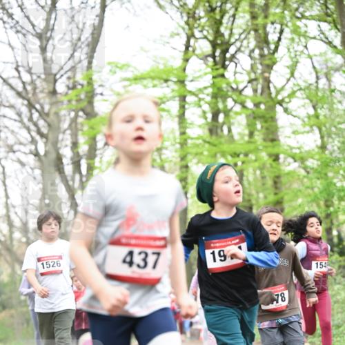 13.04.2025 - Hammer Lauf Dr. Thomas Lammeyer http://msf.ph/oto/7630979 13.04.2025 09:24:29 Laufen 1526, 437, 19, 78, 154 meine-sportfotos.de