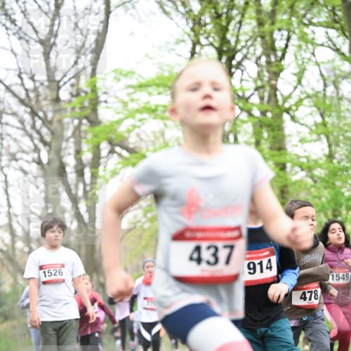 13.04.2025 - Hammer Lauf Dr. Thomas Lammeyer http://msf.ph/oto/7630984 13.04.2025 09:24:29 Laufen 1526, 437, 914, 15, 478, 1549 meine-sportfotos.de