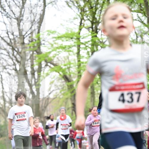 13.04.2025 - Hammer Lauf Dr. Thomas Lammeyer http://msf.ph/oto/7630990 13.04.2025 09:24:29 Laufen 1526, 1449, 437 meine-sportfotos.de