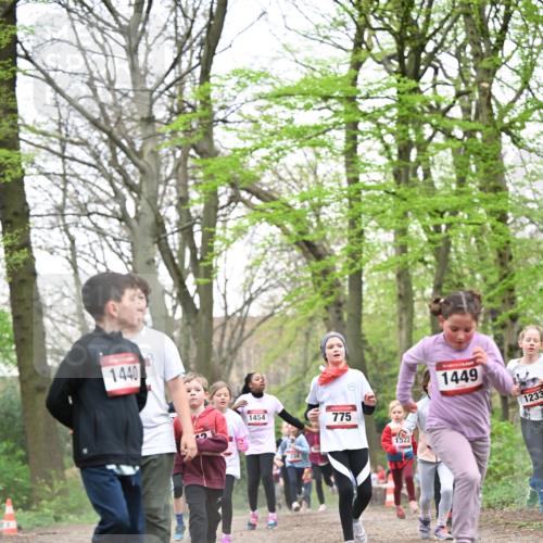 13.04.2025 - Hammer Lauf Dr. Thomas Lammeyer http://msf.ph/oto/7631001 13.04.2025 09:24:30 Laufen 1440, 12, 1454, 775, 1522, 1449, 1233 meine-sportfotos.de