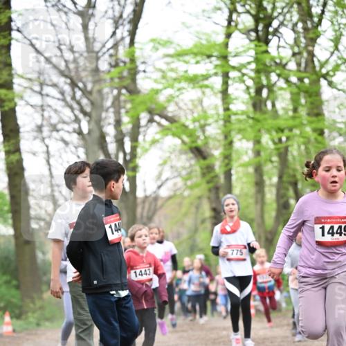 13.04.2025 - Hammer Lauf Dr. Thomas Lammeyer http://msf.ph/oto/7631016 13.04.2025 09:24:30 Laufen 15, 144, 1443, 775, 15, 1449 meine-sportfotos.de