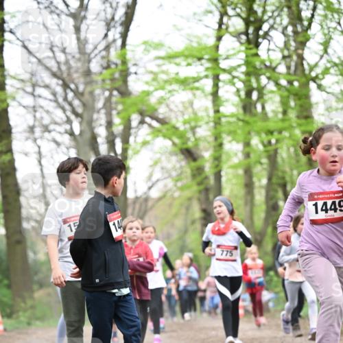 13.04.2025 - Hammer Lauf Dr. Thomas Lammeyer http://msf.ph/oto/7631022 13.04.2025 09:24:31 Laufen 15, 14, 775, 15, 1449 meine-sportfotos.de