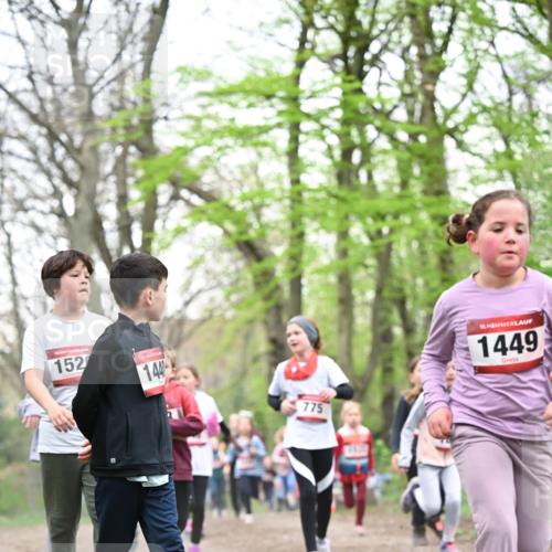13.04.2025 - Hammer Lauf Dr. Thomas Lammeyer http://msf.ph/oto/7631027 13.04.2025 09:24:31 Laufen 152, 14, 775, 15, 1449 meine-sportfotos.de