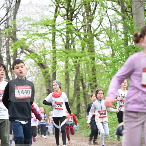 13.04.2025 - Hammer Lauf Dr. Thomas Lammeyer http://msf.ph/oto/7631033 13.04.2025 09:24:31 Laufen 26, 1440, 775, 1522, 1842, 12 meine-sportfotos.de