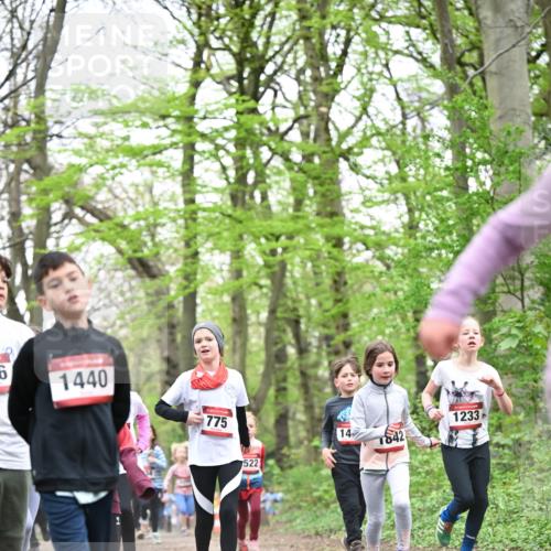 13.04.2025 - Hammer Lauf Dr. Thomas Lammeyer http://msf.ph/oto/7631038 13.04.2025 09:24:31 Laufen 6, 1440, 775, 522, 14, 1842, 1233 meine-sportfotos.de