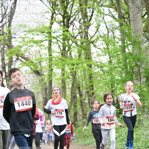 13.04.2025 - Hammer Lauf Dr. Thomas Lammeyer http://msf.ph/oto/7631044 13.04.2025 09:24:31 Laufen 26, 1440, 775, 142, 1842, 1233 meine-sportfotos.de