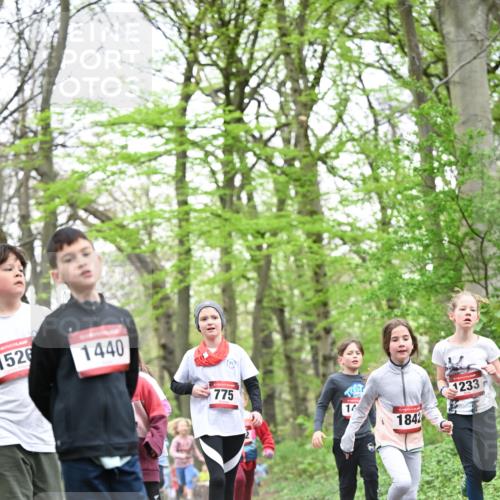 13.04.2025 - Hammer Lauf Dr. Thomas Lammeyer http://msf.ph/oto/7631049 13.04.2025 09:24:31 Laufen 1526, 1440, 775, 1233, 14, 1842 meine-sportfotos.de