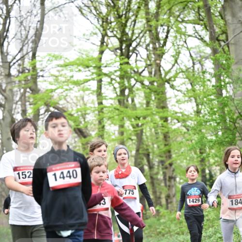 13.04.2025 - Hammer Lauf Dr. Thomas Lammeyer http://msf.ph/oto/7631054 13.04.2025 09:24:32 Laufen 152, 1440, 775, 1429, 184 meine-sportfotos.de