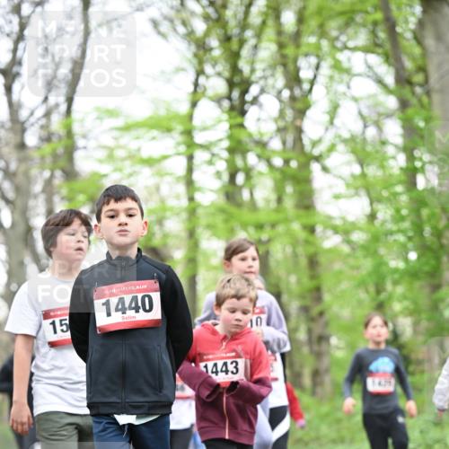 13.04.2025 - Hammer Lauf Dr. Thomas Lammeyer http://msf.ph/oto/7631068 13.04.2025 09:24:32 Laufen 15, 15, 1440, 1443 meine-sportfotos.de