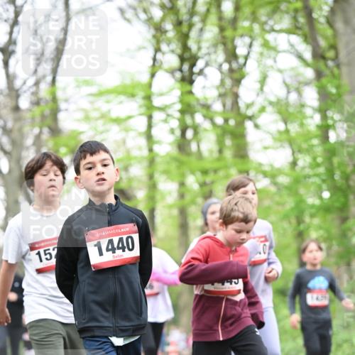13.04.2025 - Hammer Lauf Dr. Thomas Lammeyer http://msf.ph/oto/7631079 13.04.2025 09:24:32 Laufen 157, 15, 1440 meine-sportfotos.de
