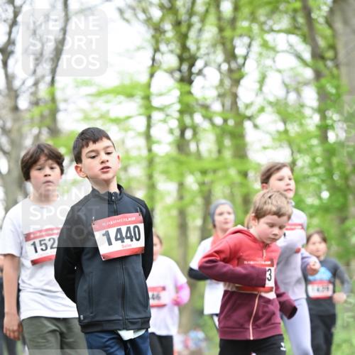 13.04.2025 - Hammer Lauf Dr. Thomas Lammeyer http://msf.ph/oto/7631086 13.04.2025 09:24:32 Laufen 152, 15, 1440, 3 meine-sportfotos.de