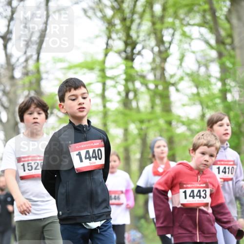 13.04.2025 - Hammer Lauf Dr. Thomas Lammeyer http://msf.ph/oto/7631093 13.04.2025 09:24:32 Laufen 152, 15, 1440, 146, 1443, 1410 meine-sportfotos.de