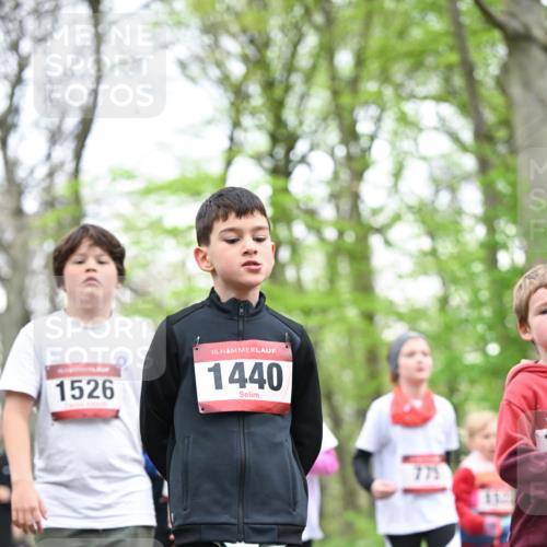 13.04.2025 - Hammer Lauf Dr. Thomas Lammeyer http://msf.ph/oto/7631109 13.04.2025 09:24:33 Laufen 1526, 15, 1440, 15 meine-sportfotos.de