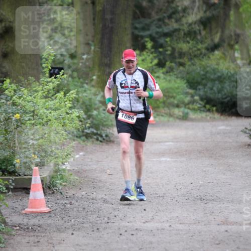 13.04.2025 - Hammer Lauf Jannik Wohlers http://msf.ph/oto/7631124 13.04.2025 13:04:03 Laufen 33, 2, 1086 meine-sportfotos.de
