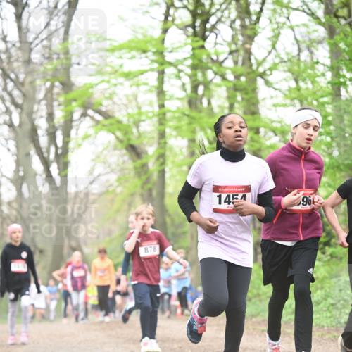 13.04.2025 - Hammer Lauf Dr. Thomas Lammeyer http://msf.ph/oto/7631195 13.04.2025 09:24:37 Laufen 878, 15, 1454, 96 meine-sportfotos.de