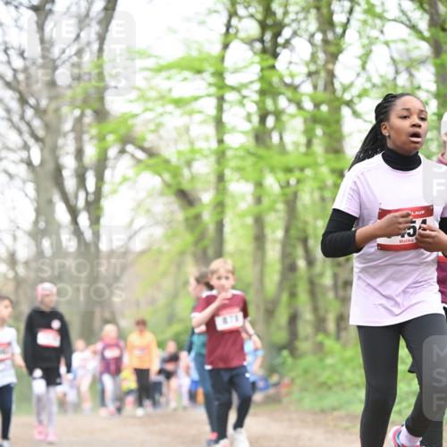 13.04.2025 - Hammer Lauf Dr. Thomas Lammeyer http://msf.ph/oto/7631210 13.04.2025 09:24:38 Laufen  meine-sportfotos.de