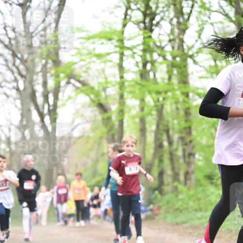 13.04.2025 - Hammer Lauf Dr. Thomas Lammeyer http://msf.ph/oto/7631214 13.04.2025 09:24:38 Laufen 87 meine-sportfotos.de