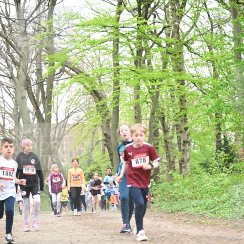 13.04.2025 - Hammer Lauf Dr. Thomas Lammeyer http://msf.ph/oto/7631221 13.04.2025 09:24:38 Laufen 1882, 1518, 727, 1885, 444, 1624, 878 meine-sportfotos.de
