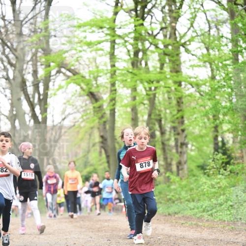 13.04.2025 - Hammer Lauf Dr. Thomas Lammeyer http://msf.ph/oto/7631226 13.04.2025 09:24:38 Laufen 382, 1518, 15, 878 meine-sportfotos.de